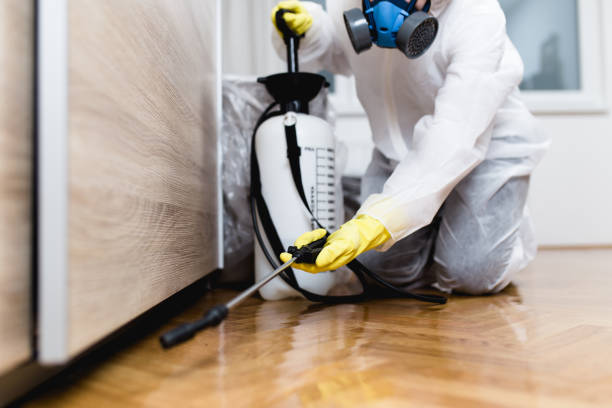 Best Pest Control for Homes  in Kenly, NC