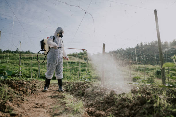 Best Pest Control Treatment  in Kenly, NC