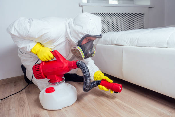 Best Local Pest Control Services  in Kenly, NC