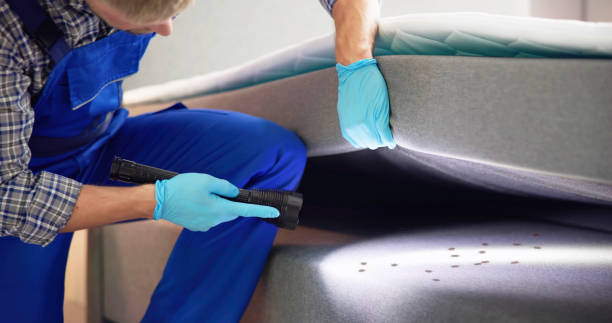Best Cockroach Control Services  in Kenly, NC