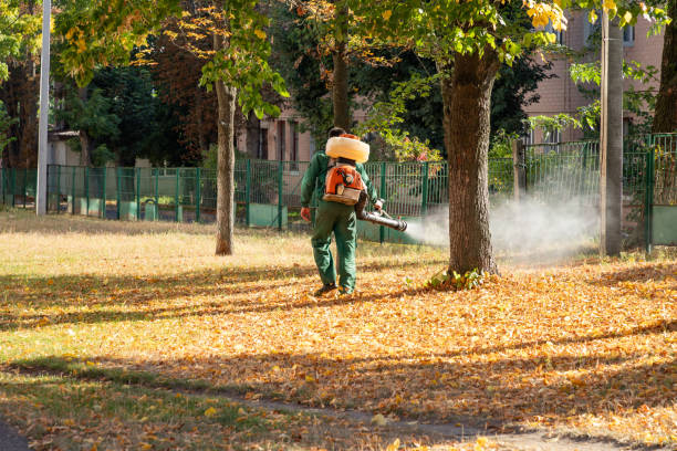Best Termite Control Services  in Kenly, NC